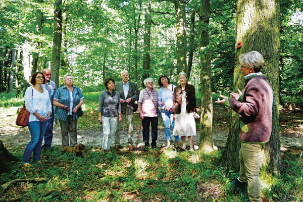 Waldbestattung Cremlinger Horn - Rundgang